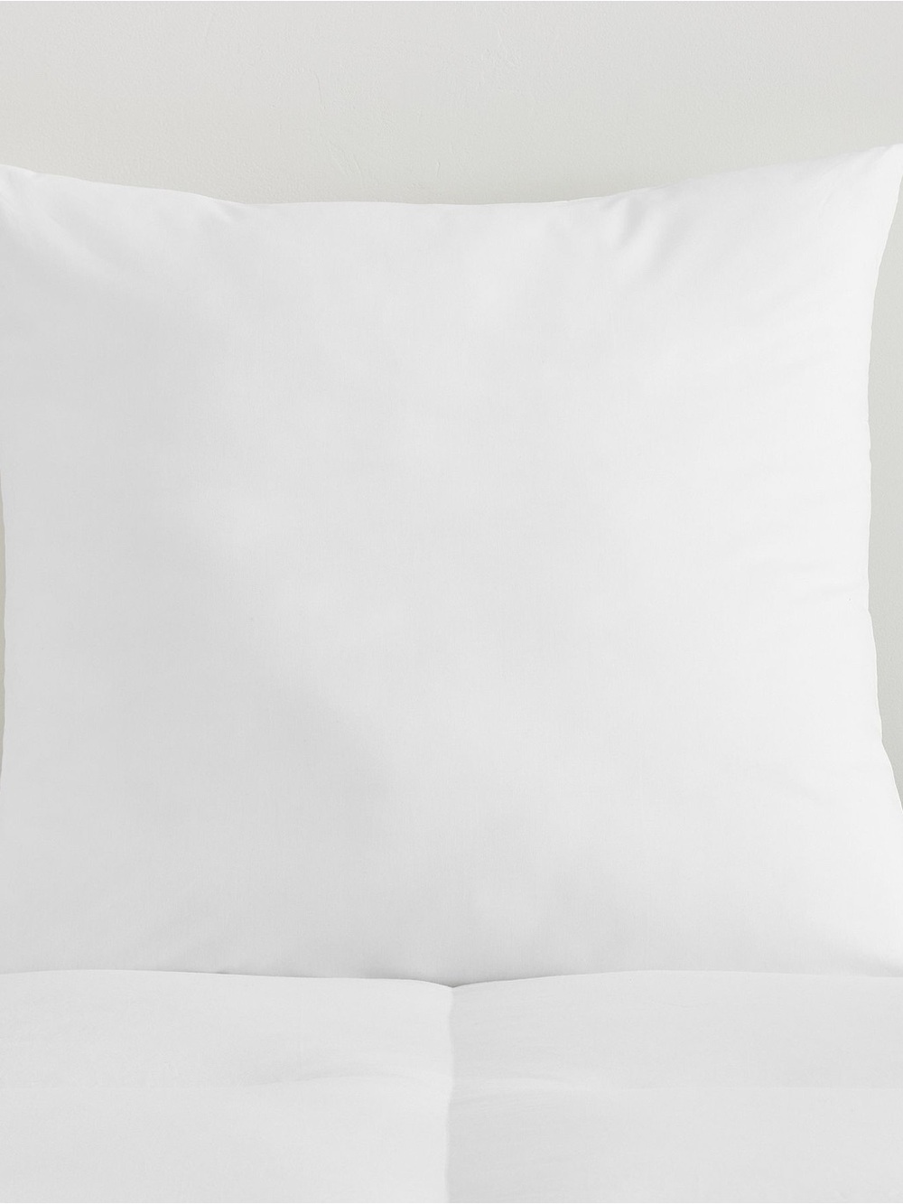 Pottery Barn 26x26 down throw pillow insert.